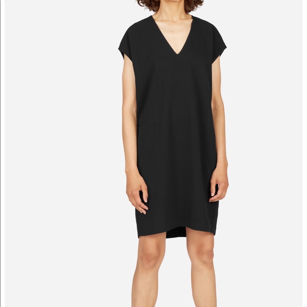 Everlane goweave cocoon dress
